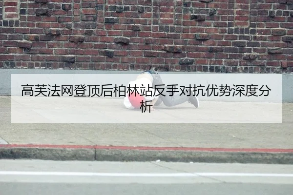 gao-fu-fa-wang-deng-ding-hou-bo-lin-zhan-fan-shou-dui-kang-you-shi-shen-du-fen-xi-2-339.jpg